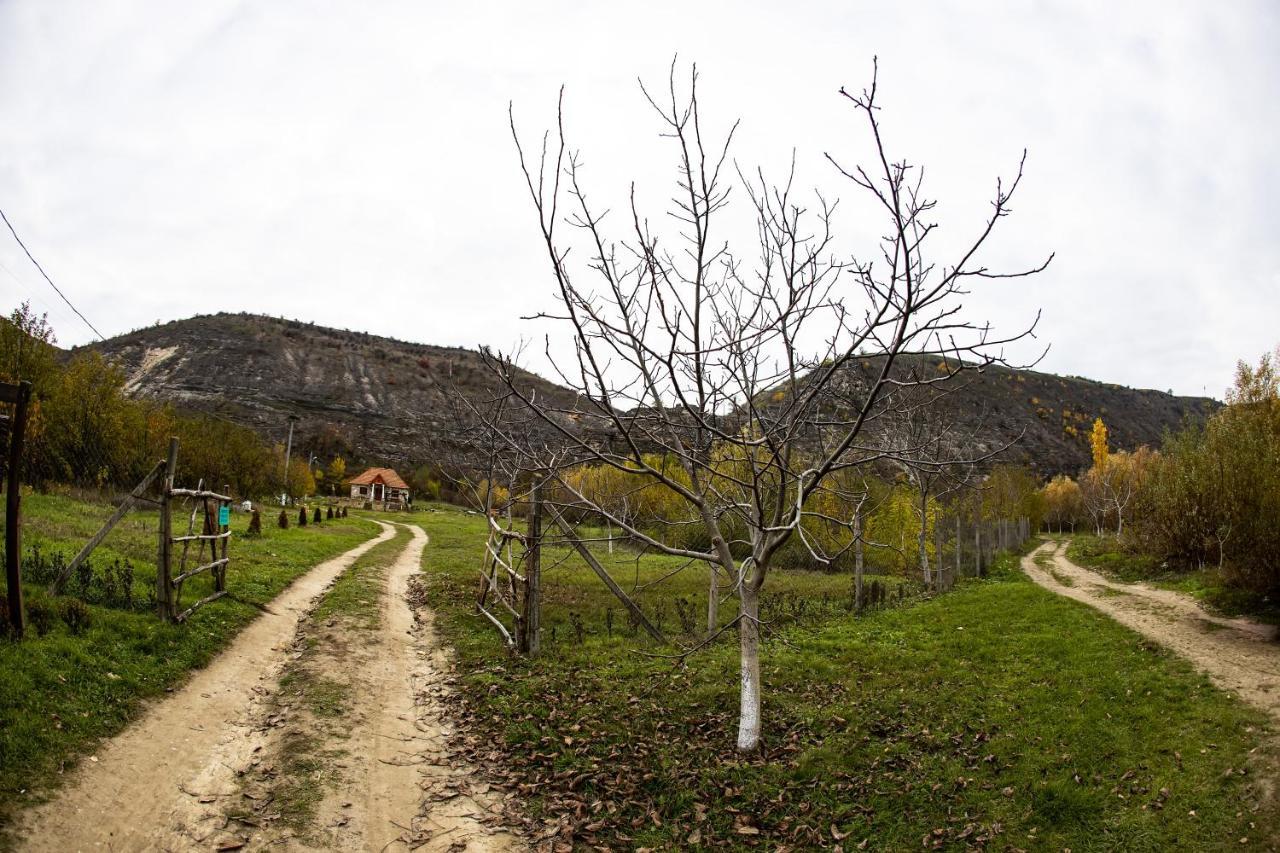 Casa Agricultorului Varzari Butuceny エクステリア 写真