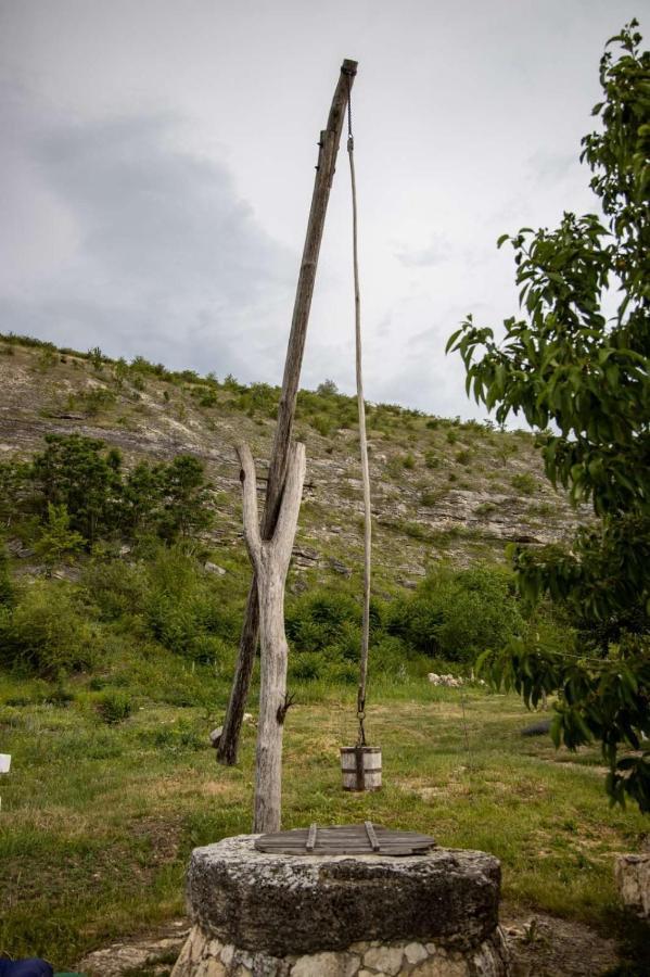 Casa Agricultorului Varzari Butuceny エクステリア 写真