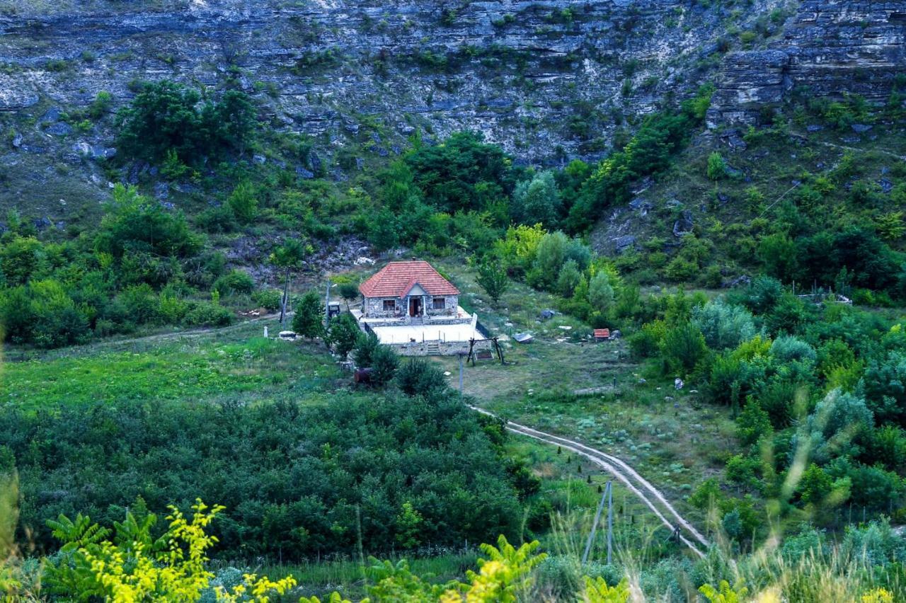 Casa Agricultorului Varzari Butuceny エクステリア 写真